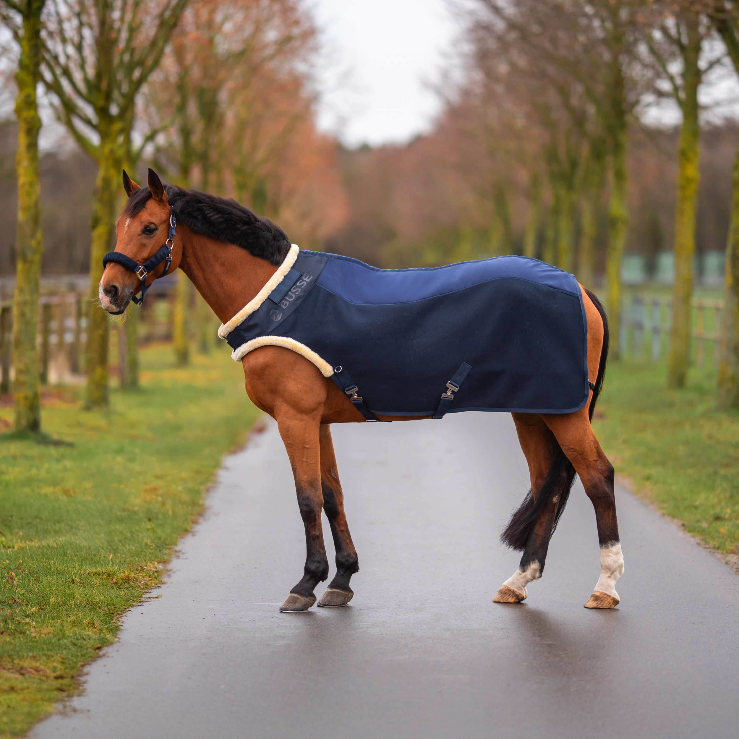 Bewegungsdecke 3D AIR FL Bewegungsdecke 3D AIR FL