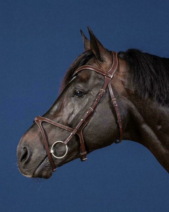 Snaffle X-fit US