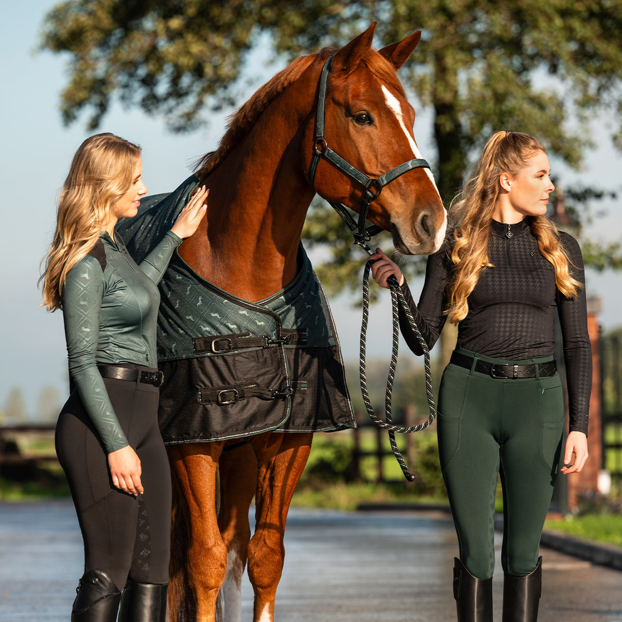 Reitlegging Avélie Vollbesatz