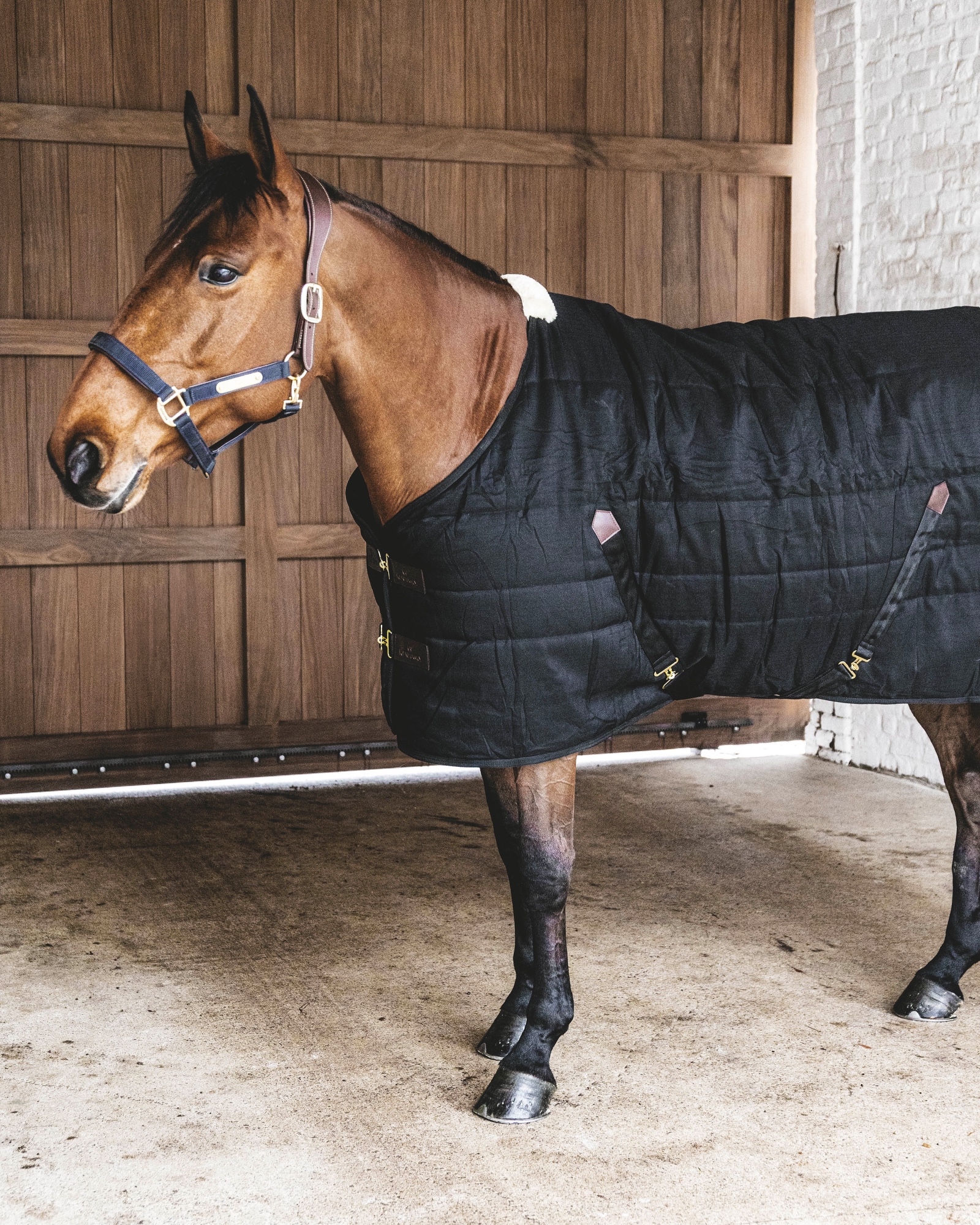 Stable rug Classic 100g
