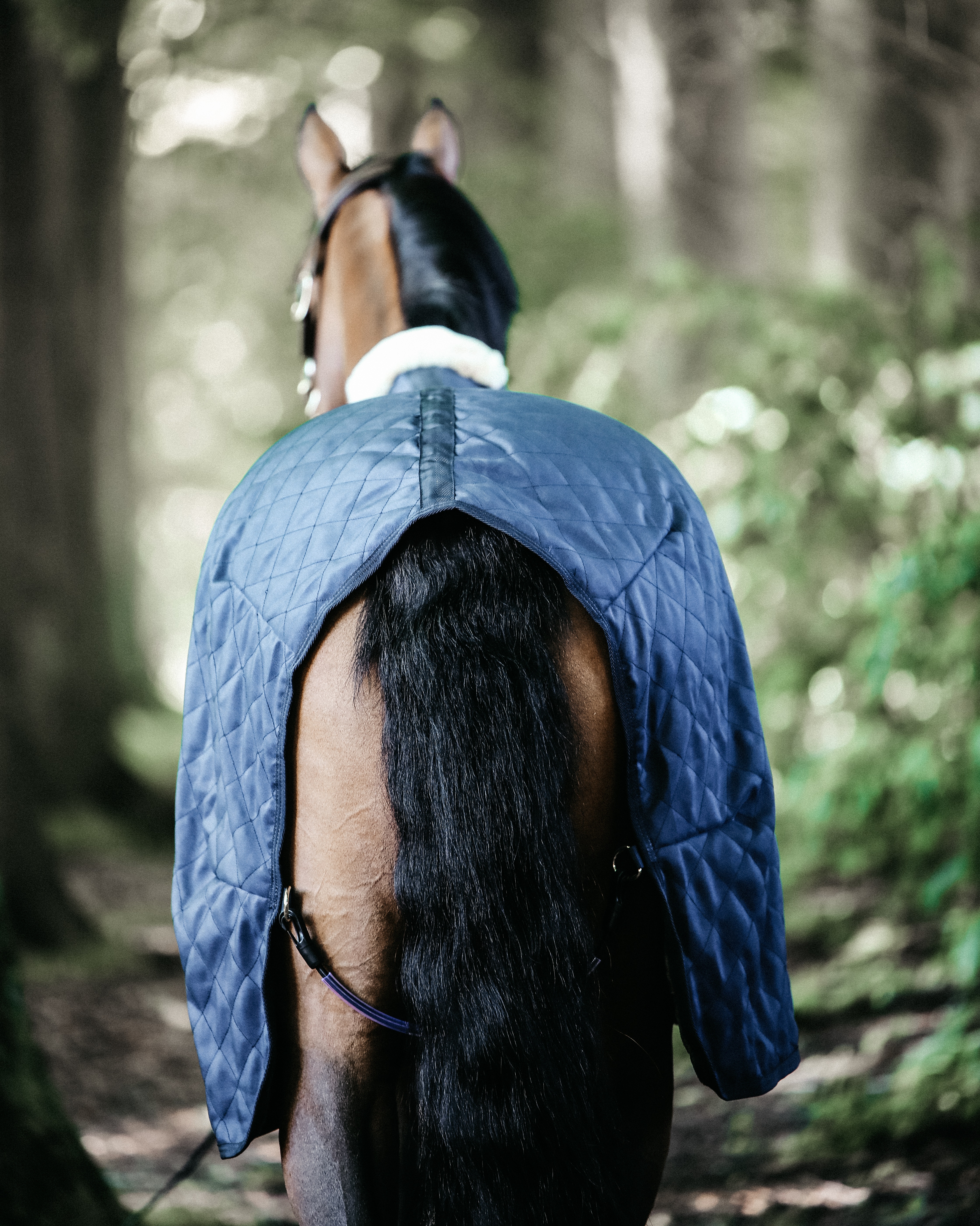 Stable blanket 0g