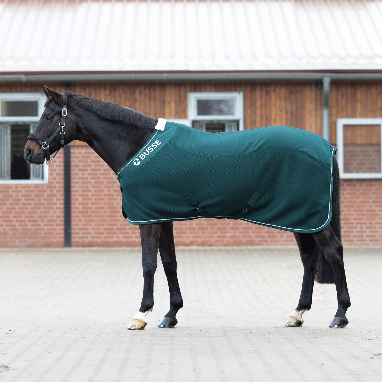 3D Air Fleece Premium sweat rug