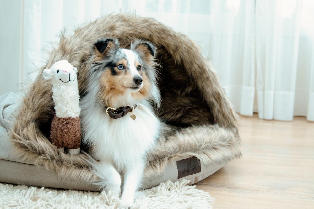 Hundebett Igloo | Kentucky Dogwear