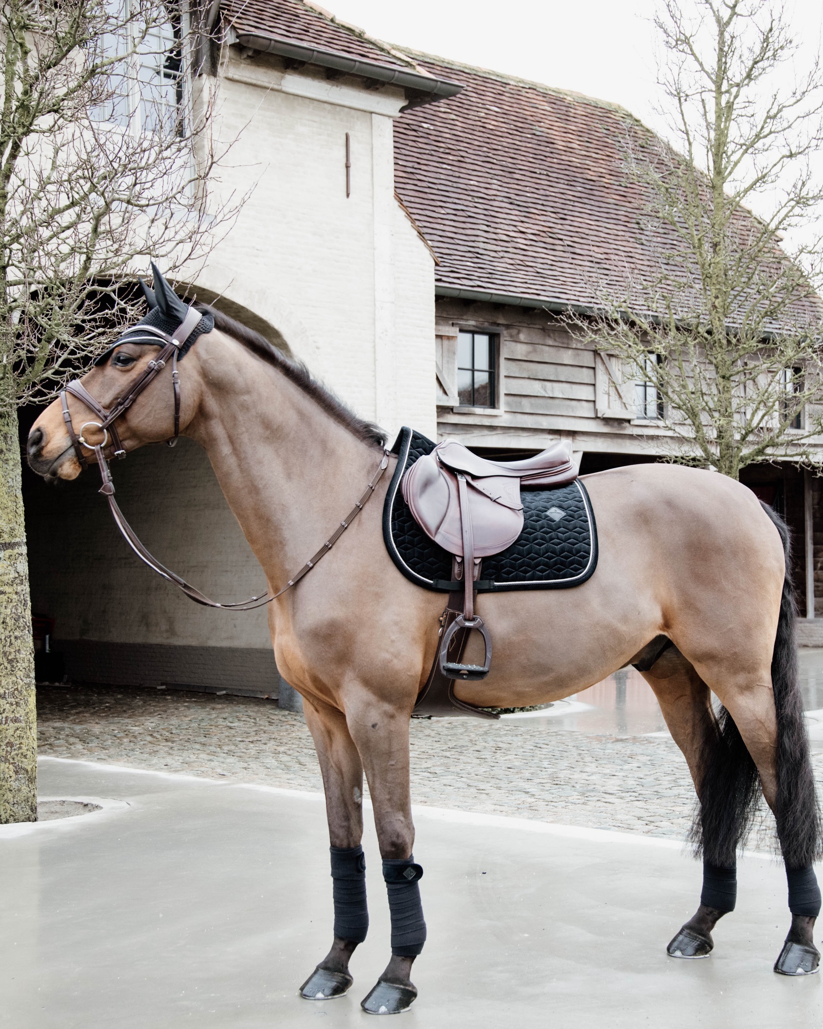 Jumping saddle pad Basic Velvet