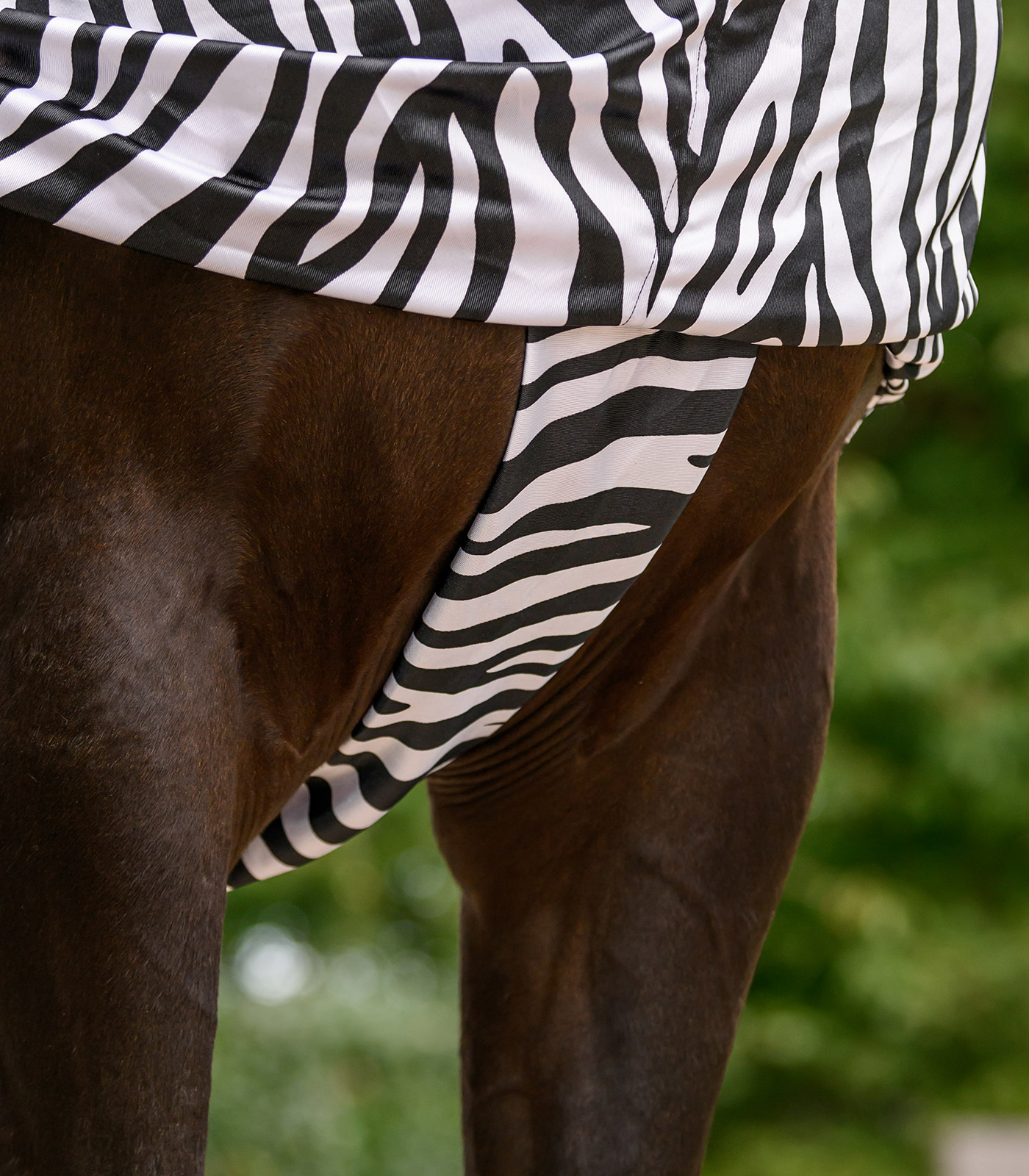 Ekzemerdecke Zebra Basic