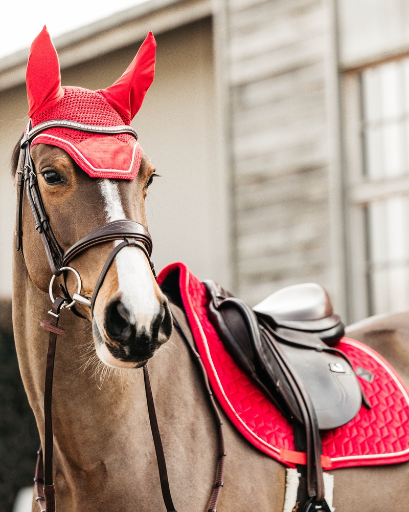 Jumping saddle pad Velvet
