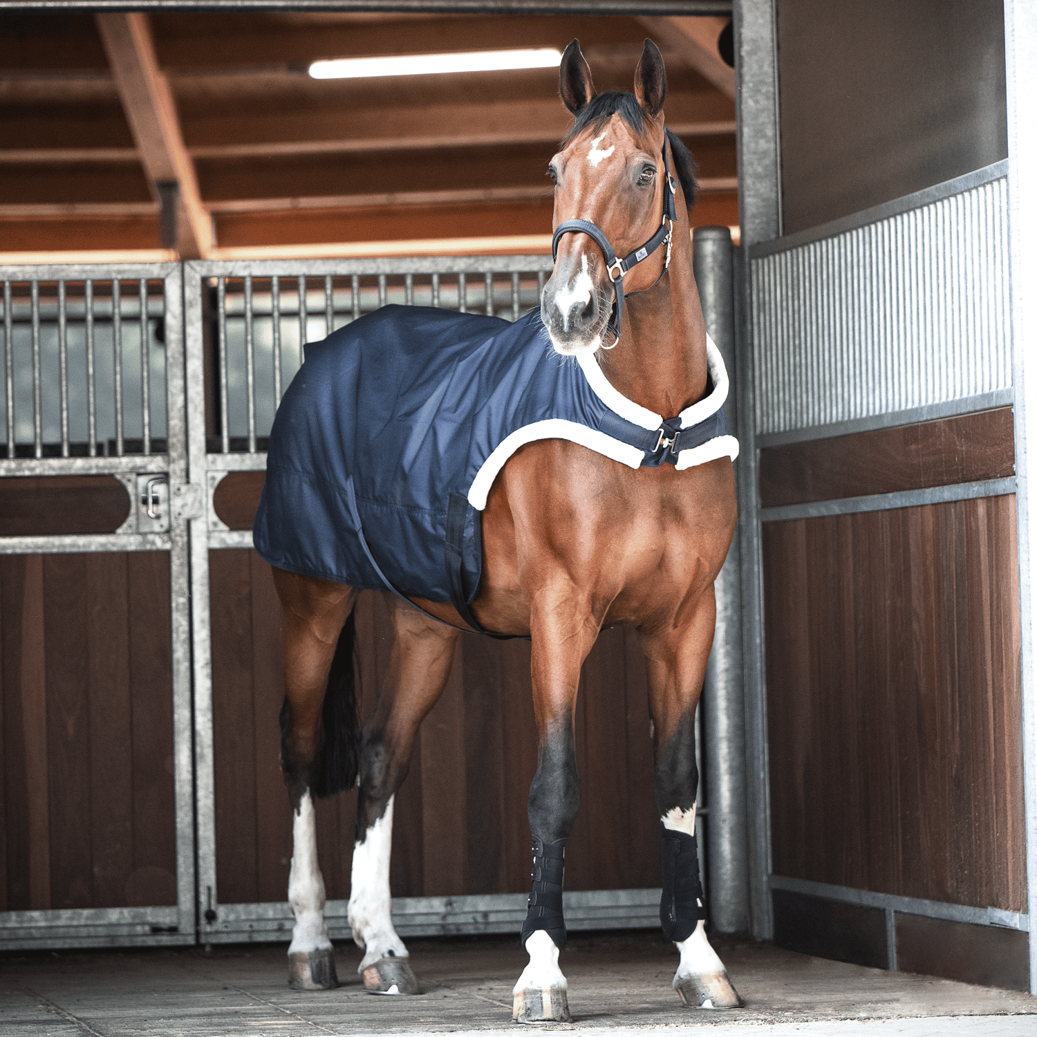 Horse walker rug Trainer 50