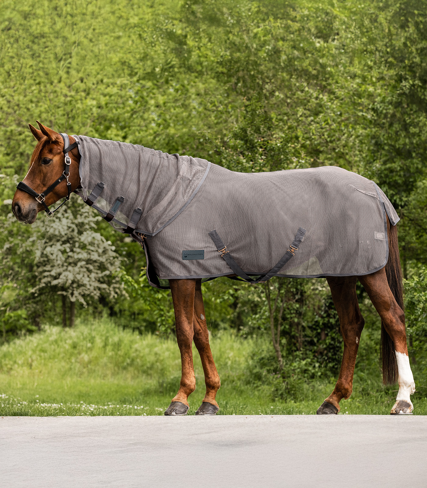 Fliegen Halsteil Comfort