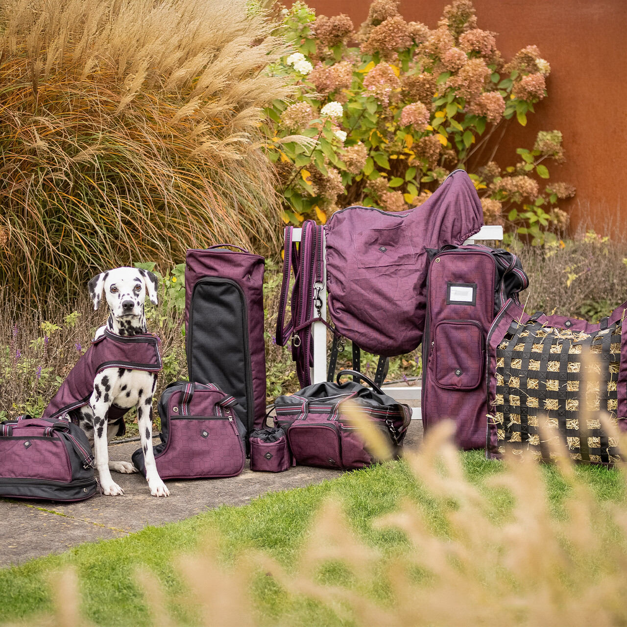 Hundedecke Turnout 1200D Collection