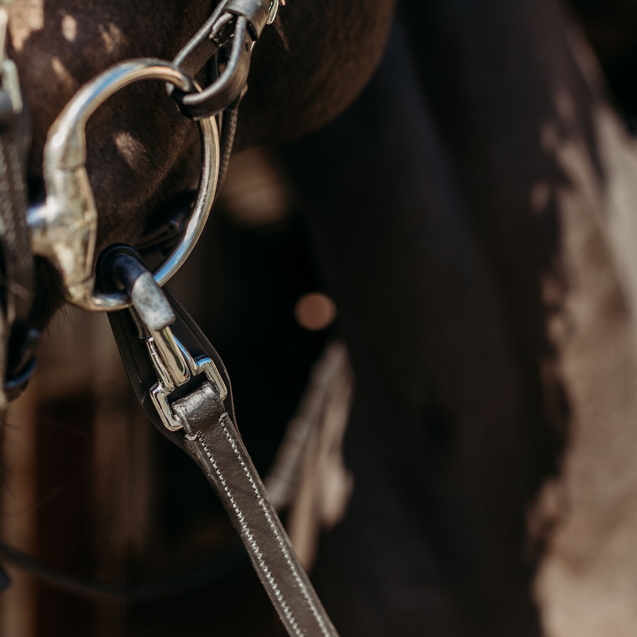 Reins FayRein with clip + stops(12.5cm)