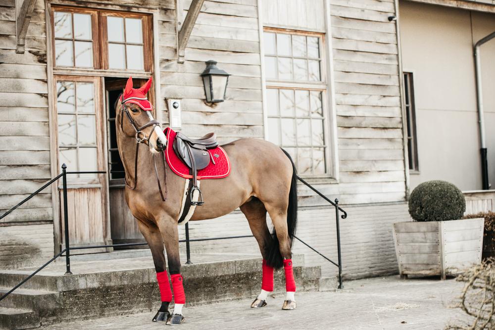 Ear bonnet Wellington Velvet