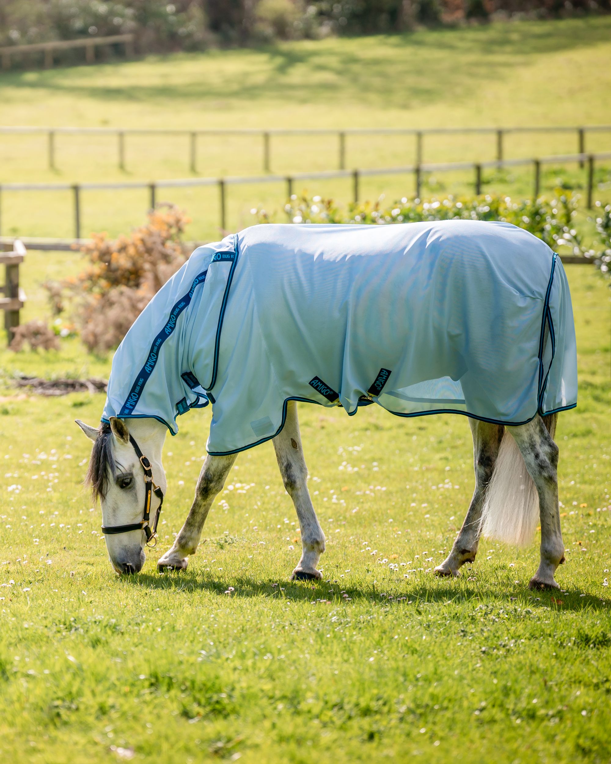 Fliegendecke Amigo Bug Rug in azure Blue/navy