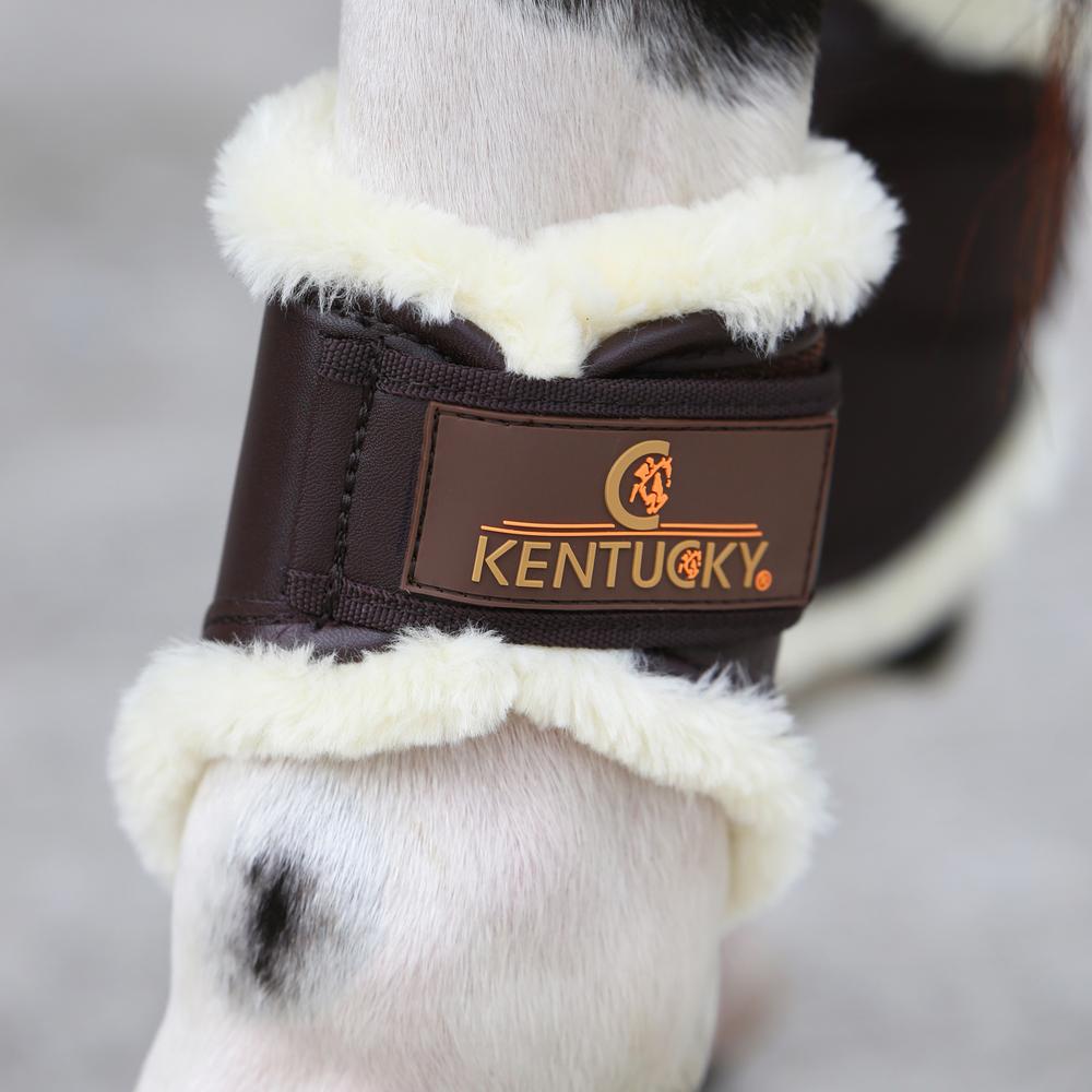 Fetlock boots leather back