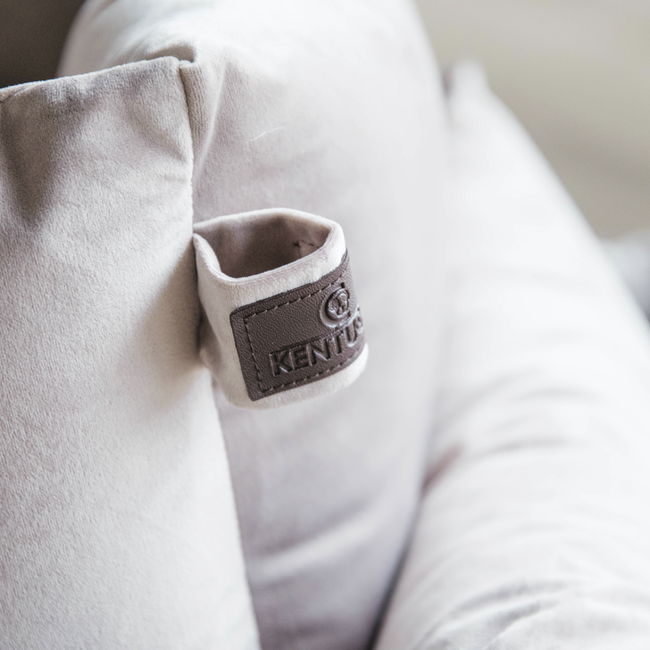 Velvet dog bed