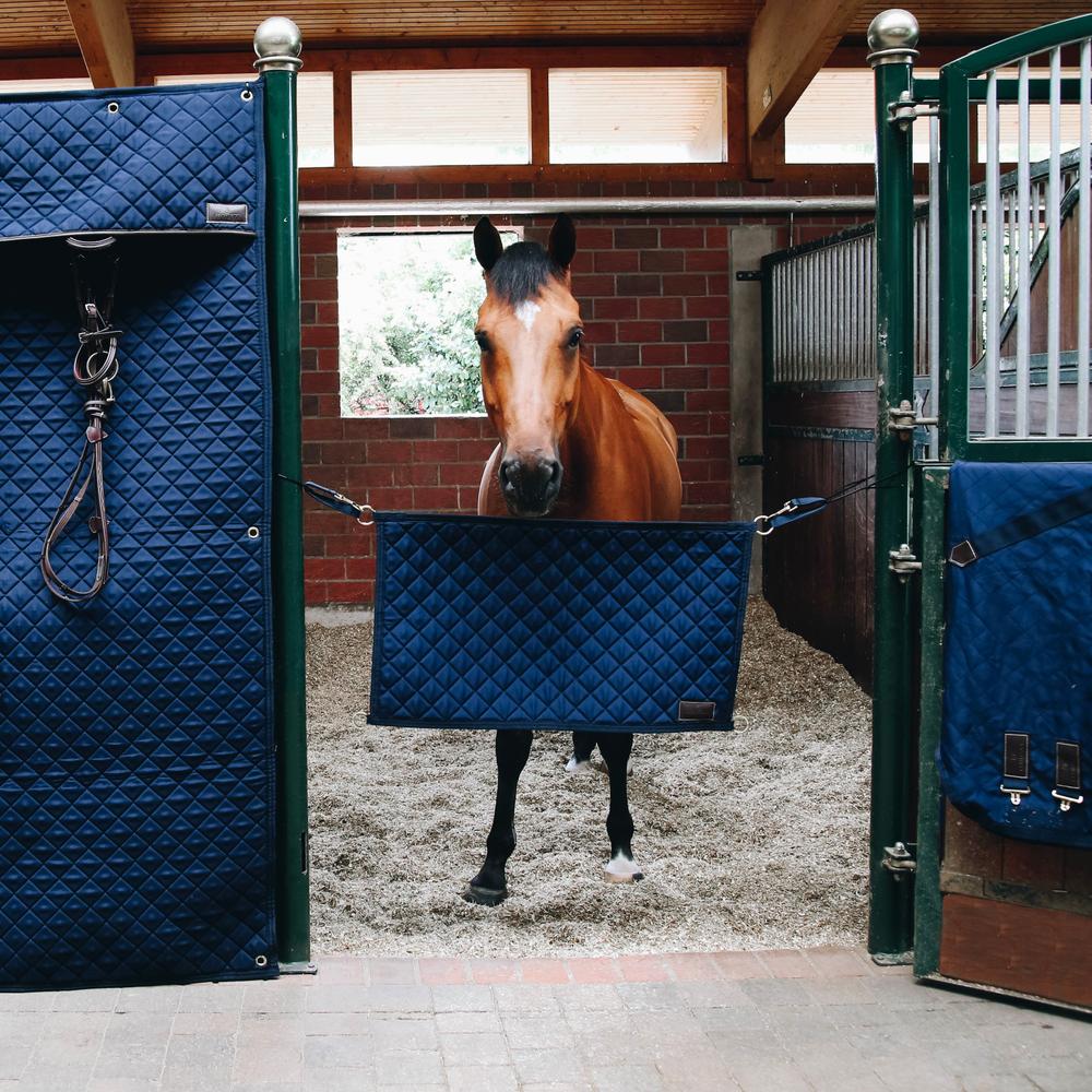 Box door curtain