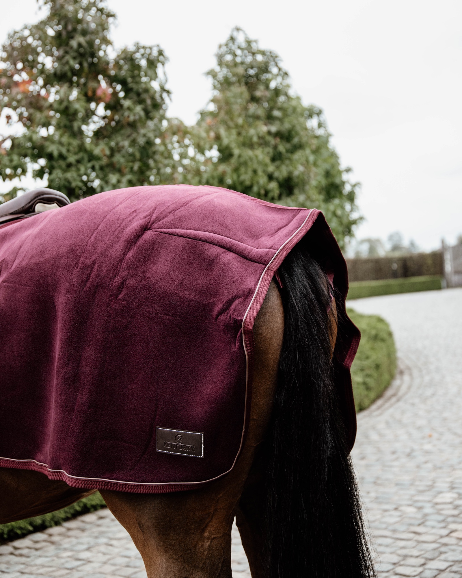 Riding rug heavy fleece