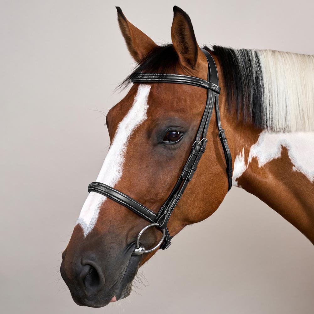 Trense mit Cavesson Reithalfter US