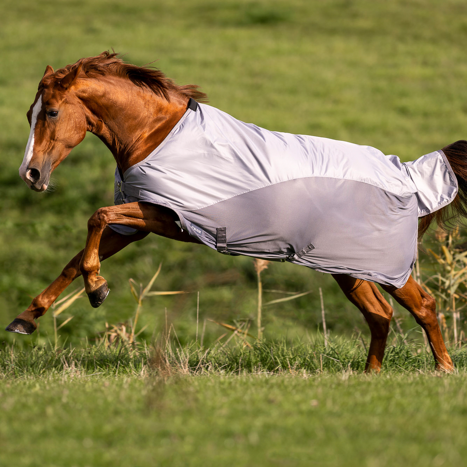 RainFly outdoor blanket