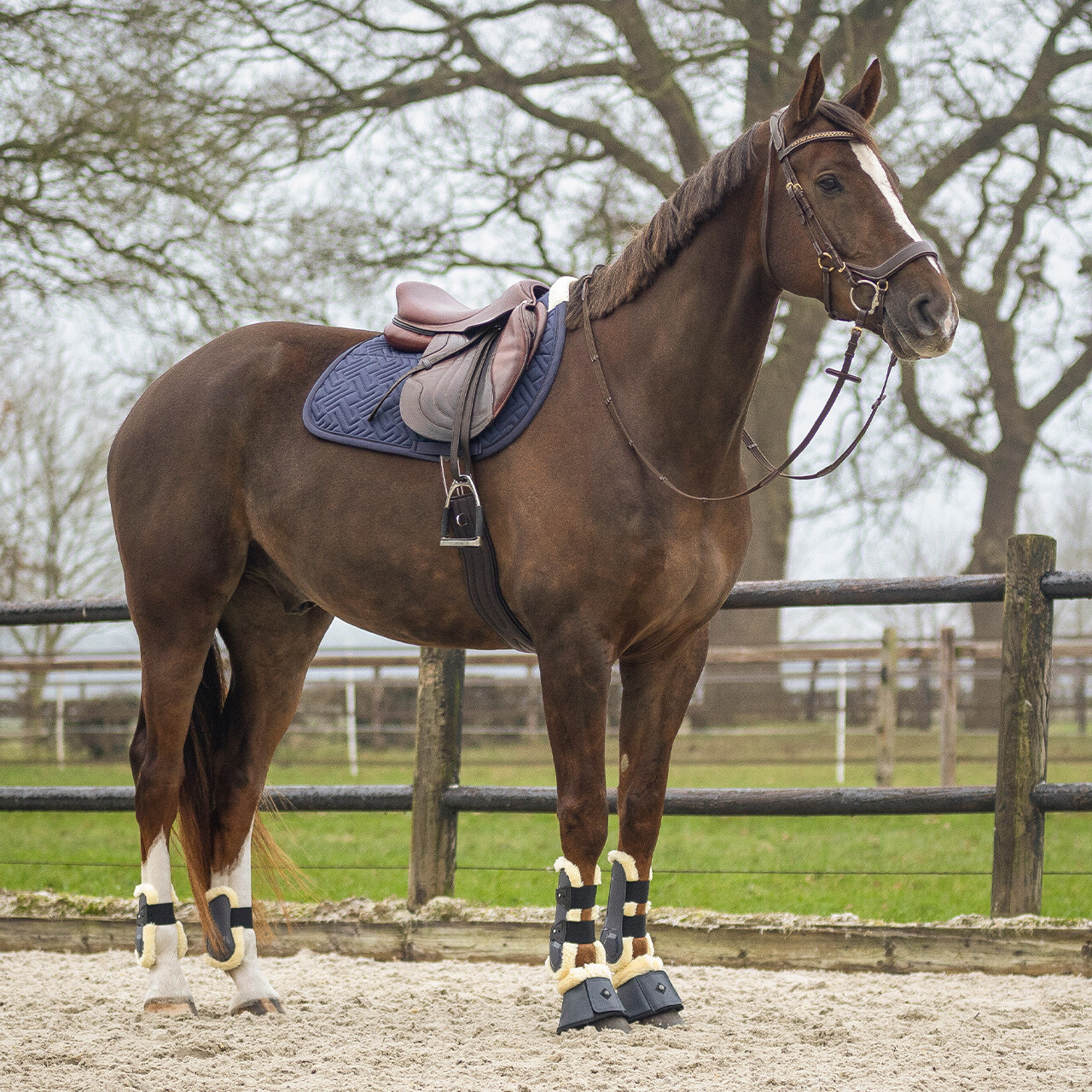 Saddle pad Sensisoft