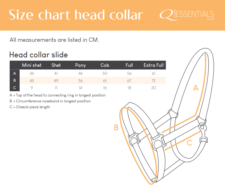 Halter with sliding buckle