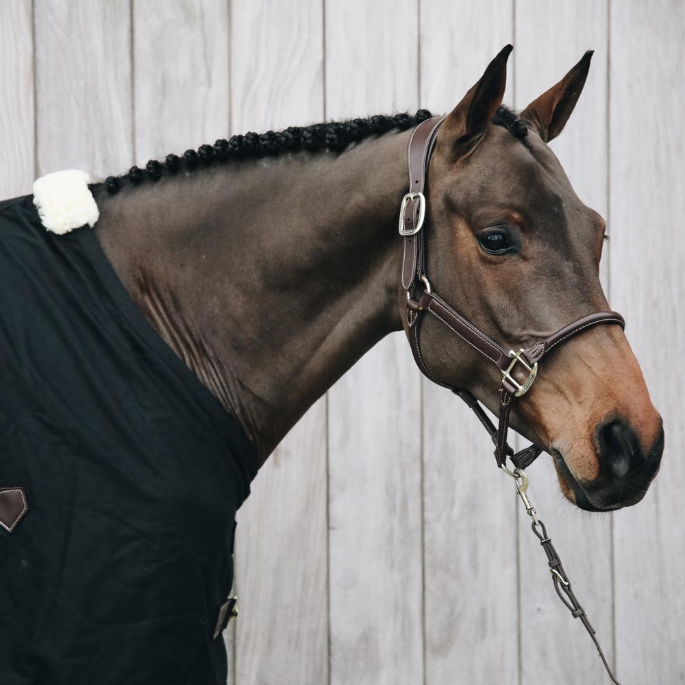 Anatomisch Leder Halfter