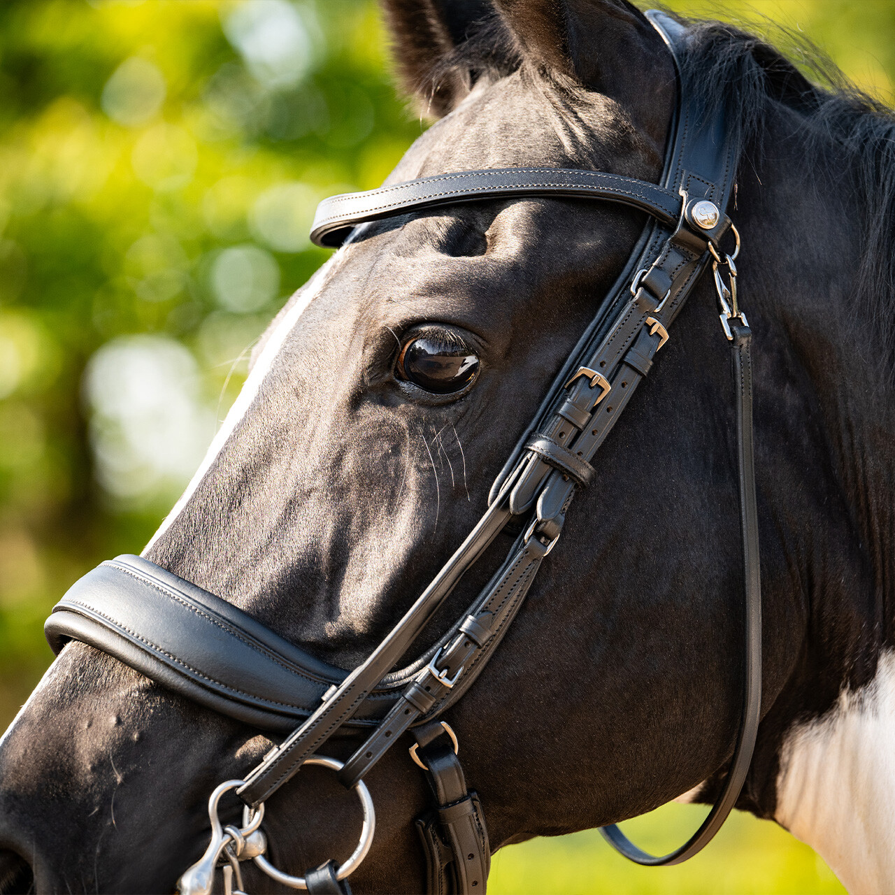 Double bridle FayPerform