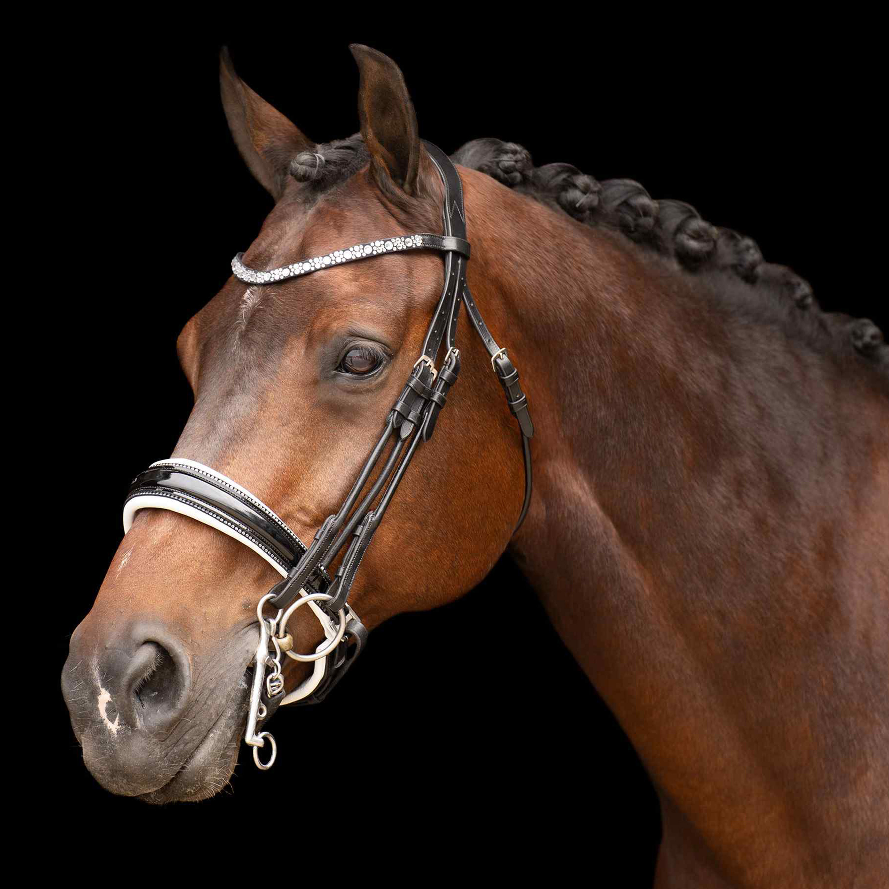 Kandarenzaum Olympia