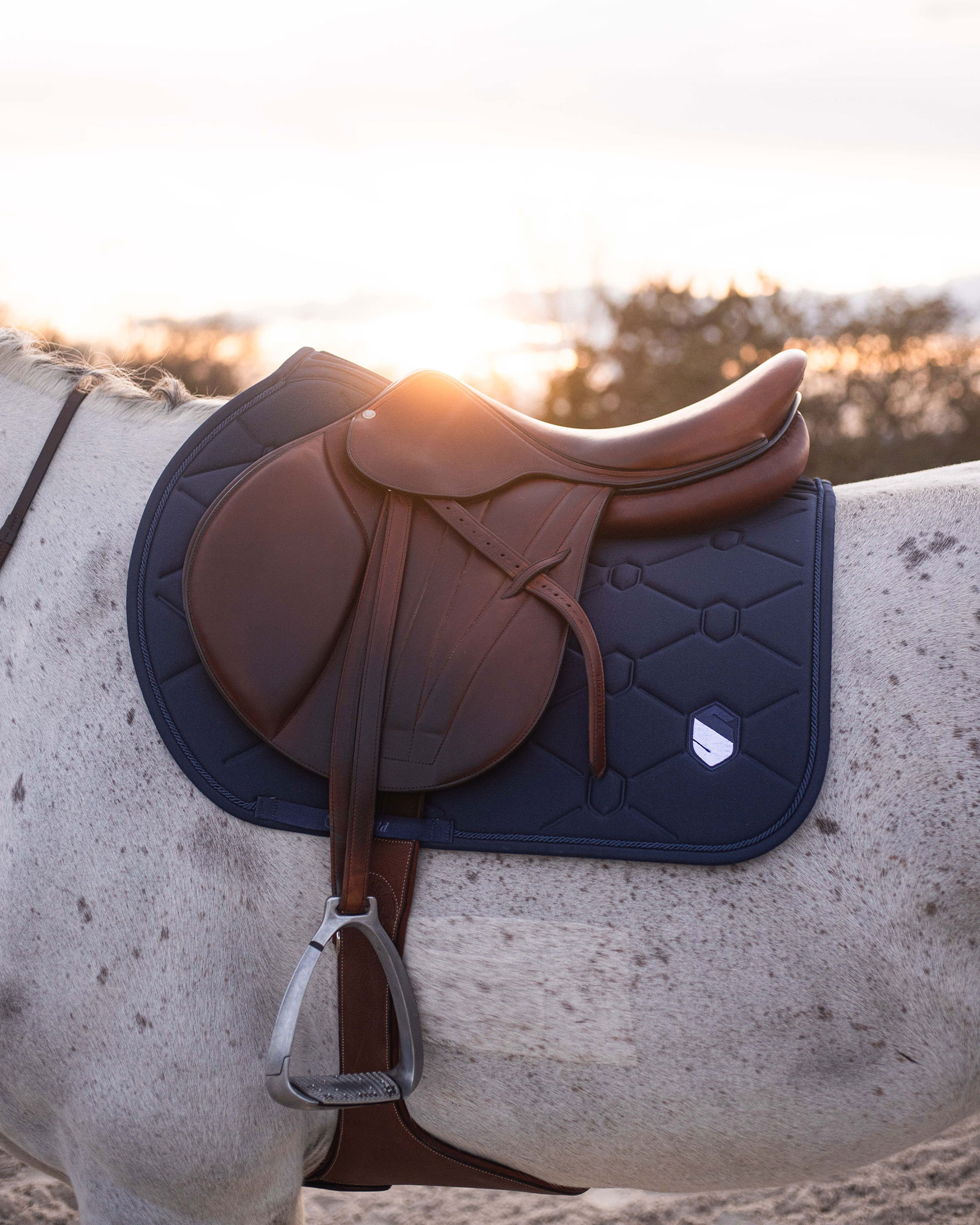 Springschabracke Embroidery