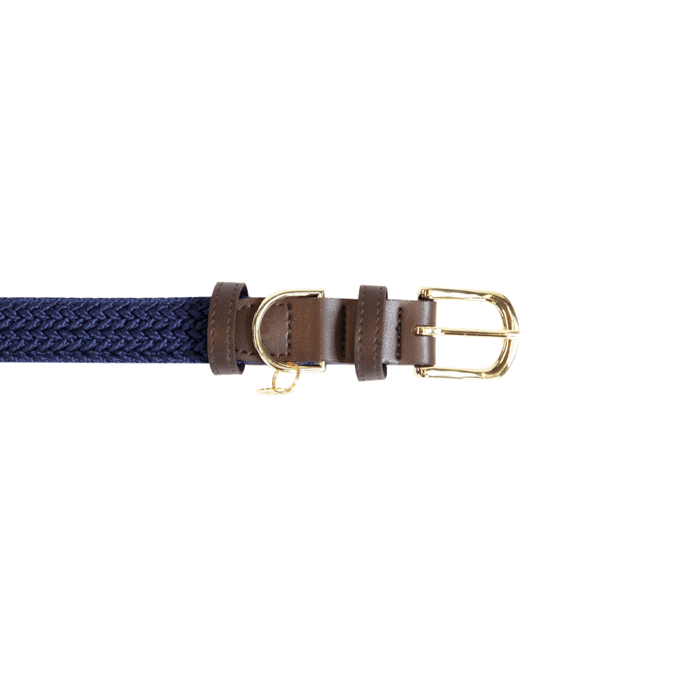 Collier de chien tressé en nylon