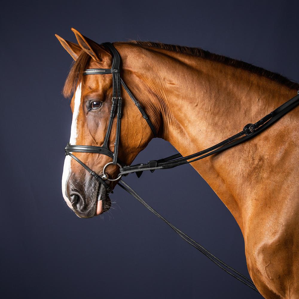 Ausbindezügel Leder/Nylon 5/8"