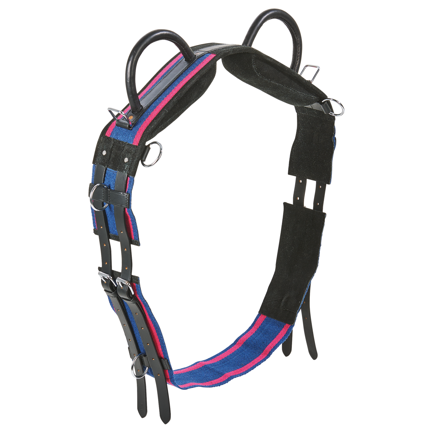Double lunging harness
