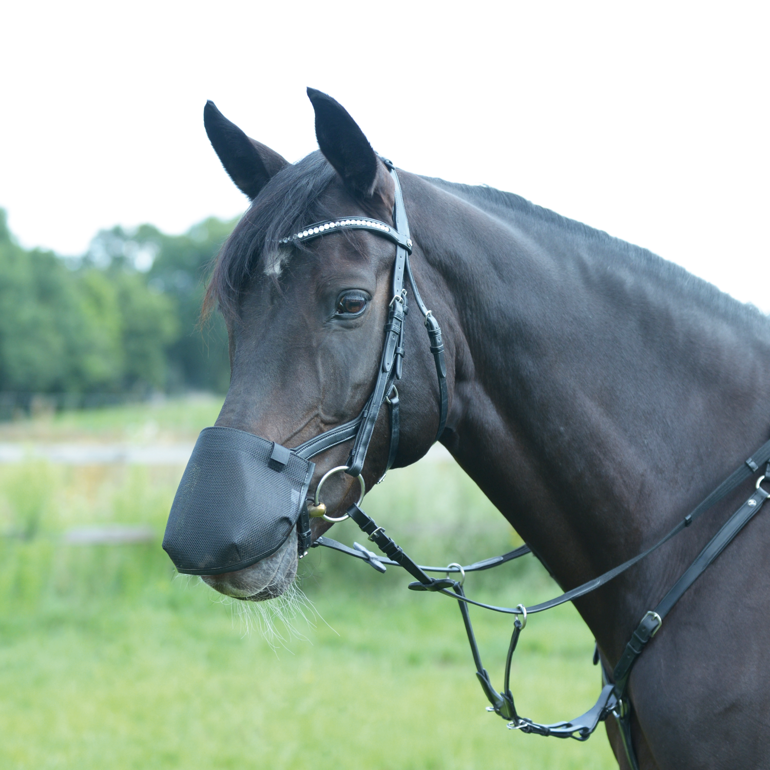 Nüsternschutz Fly Professional Anatomic