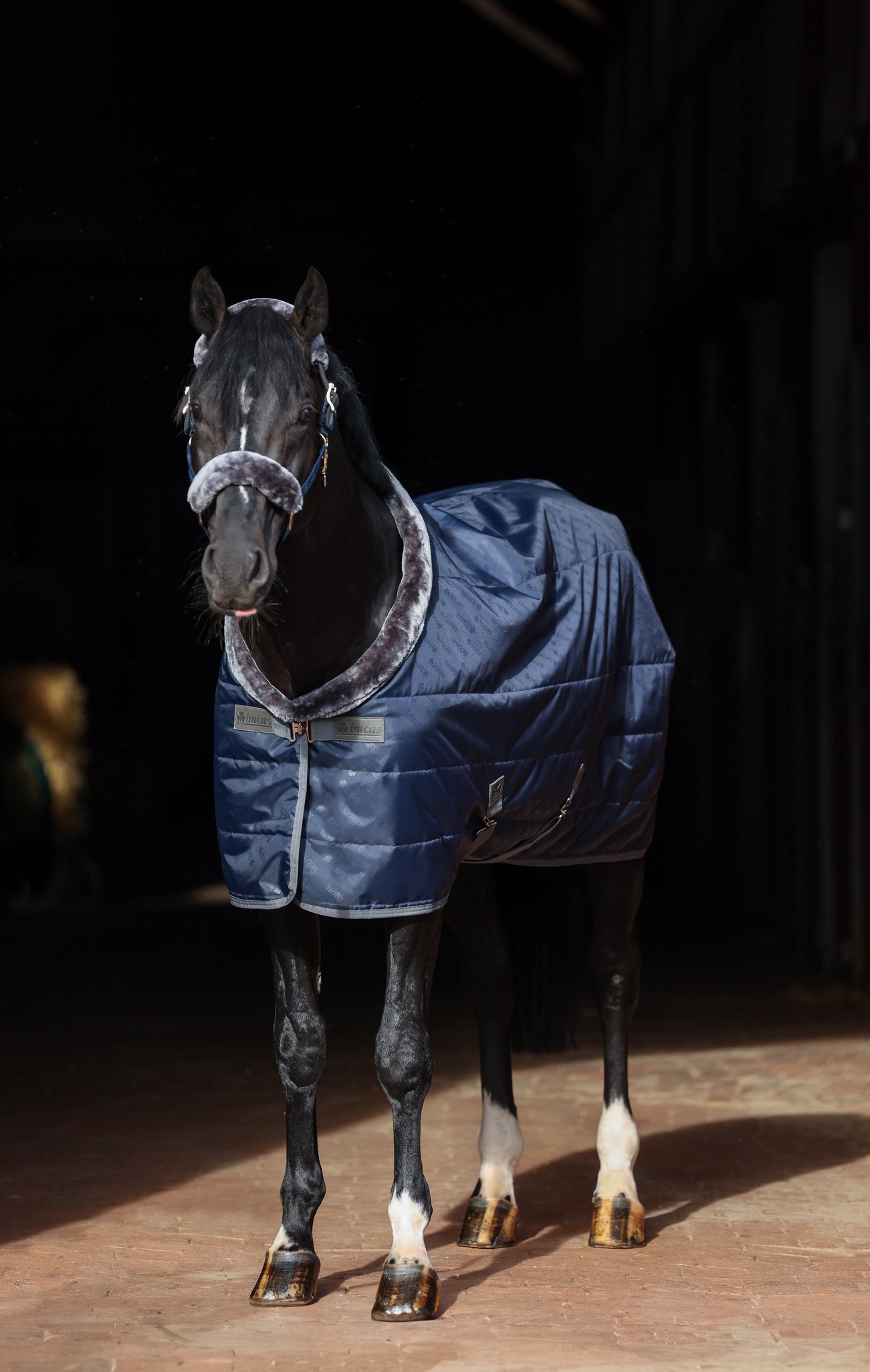 Stalldecke Show-Line in Navy/Grey