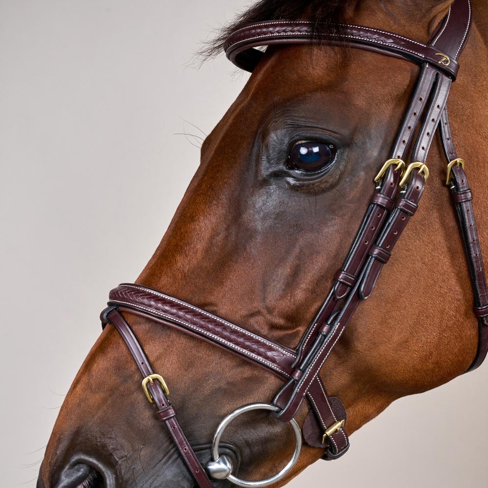 Geflochtene Trense mit kombiniertem Reithalfter DY | Dy'on