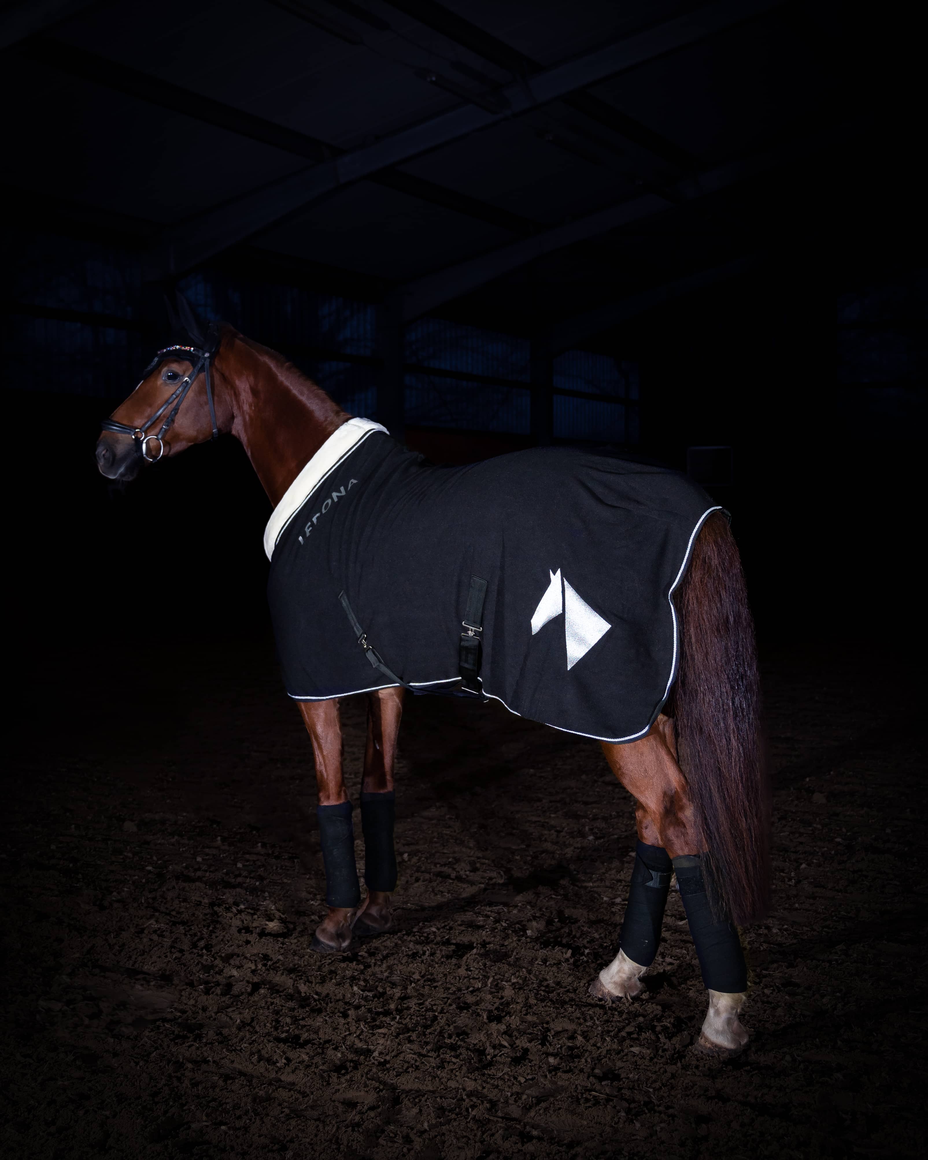 Lepona sweat rug in black
