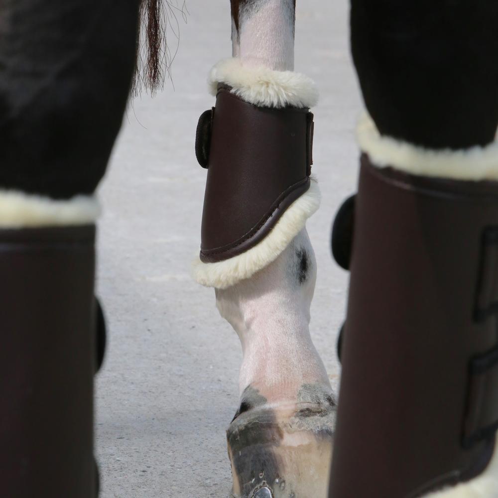 Fetlock boots leather back