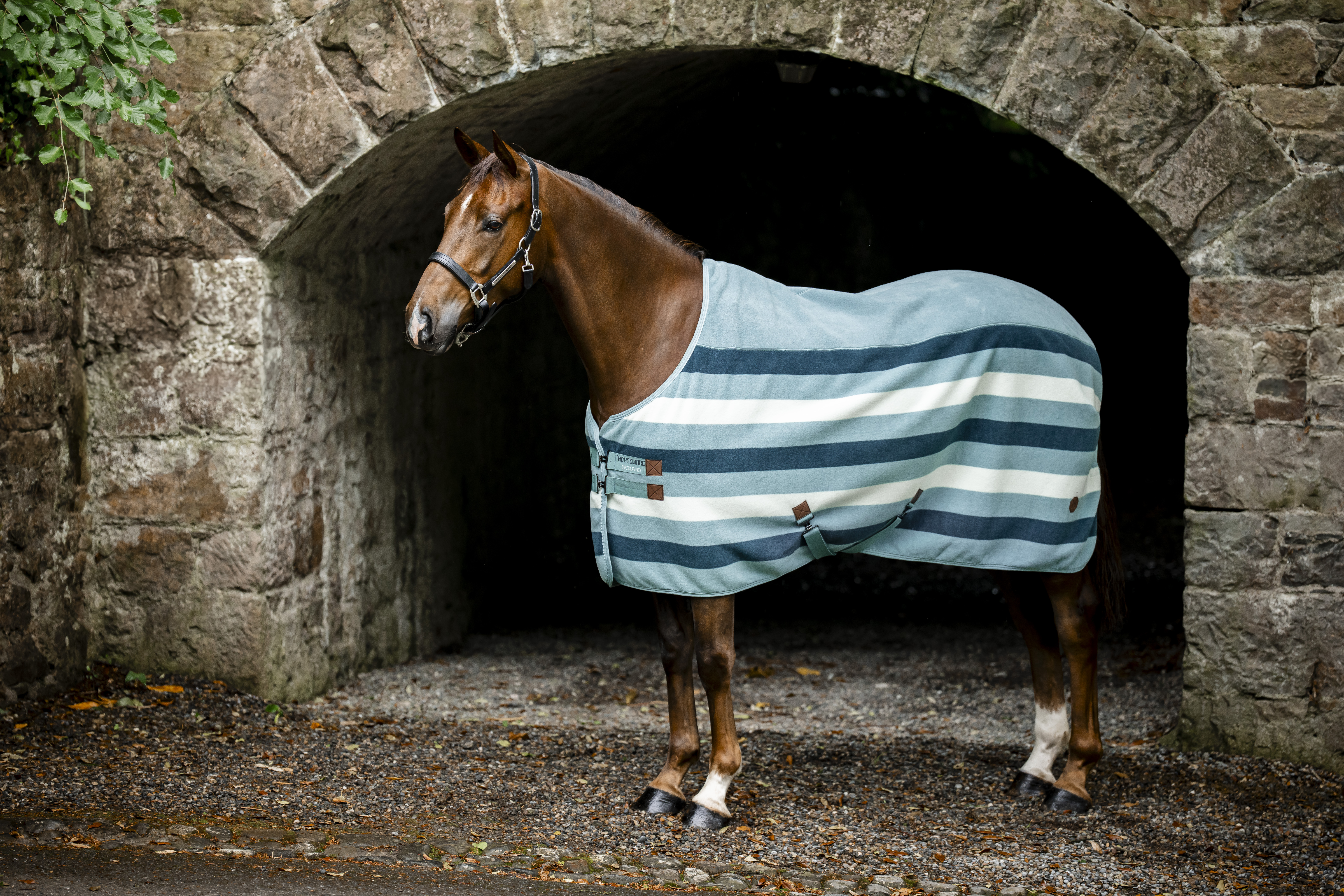 Abschwitzdecke Newmarket in witney dynasty