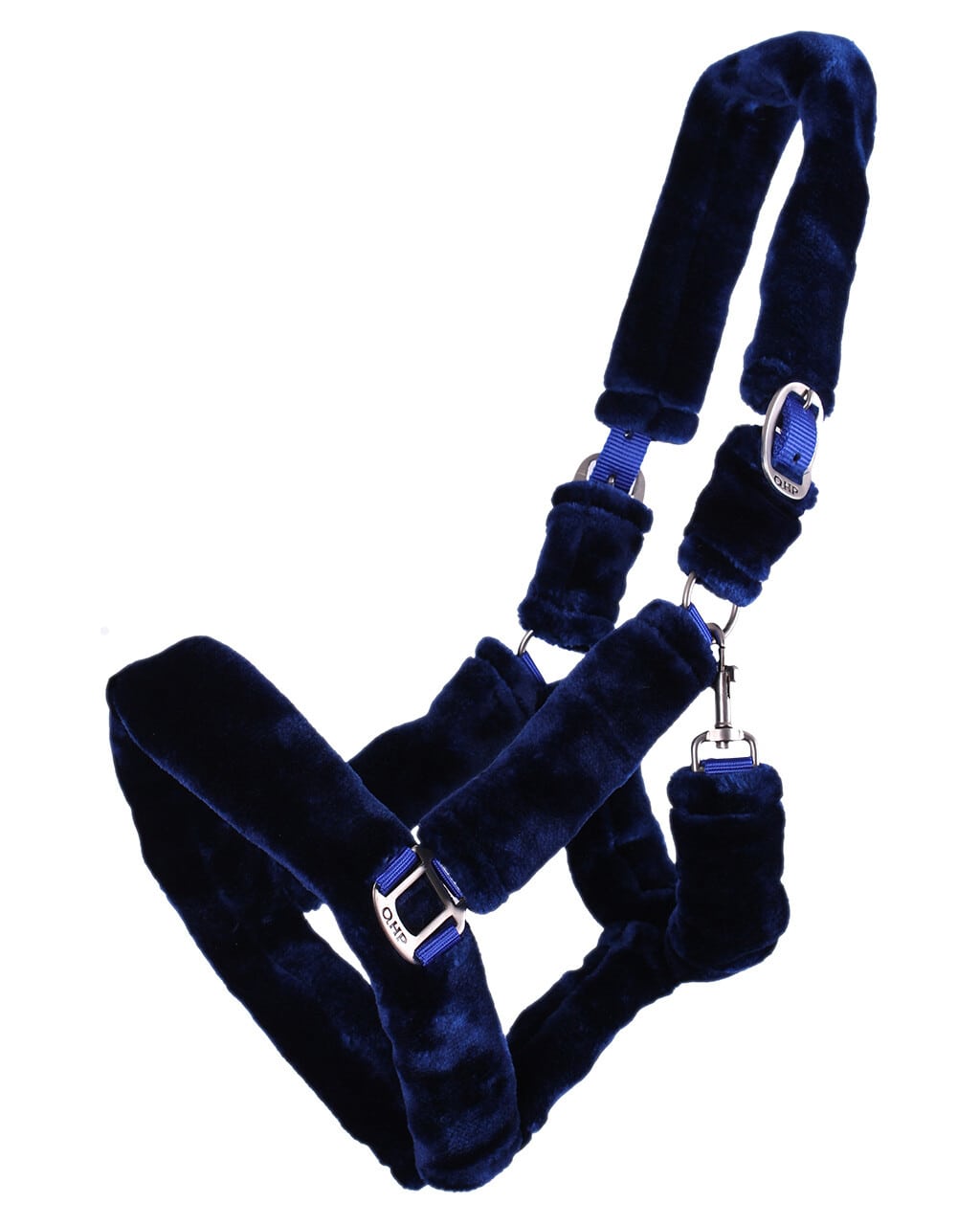 Halter Alaska