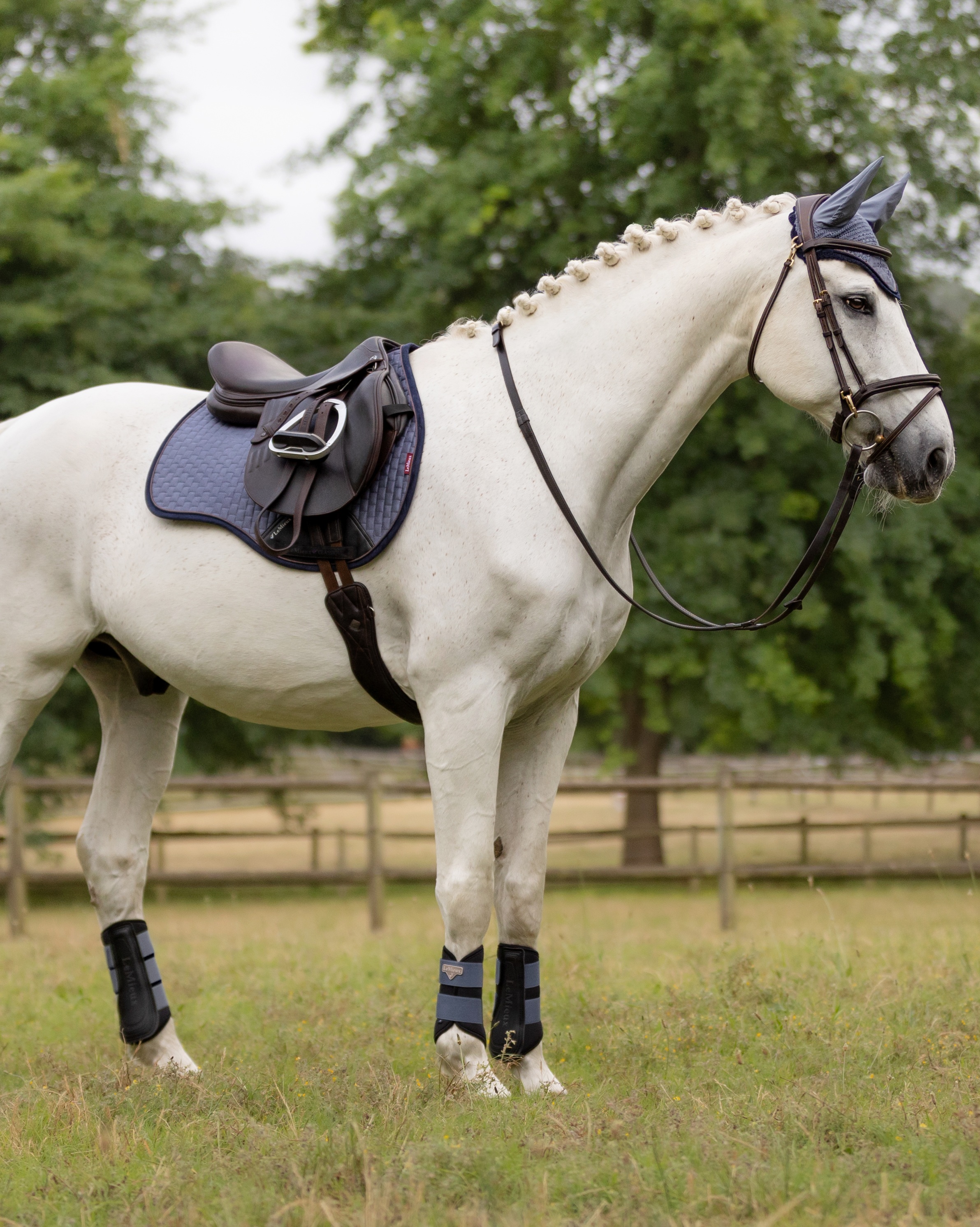 Saddle pad Suede in jay blue