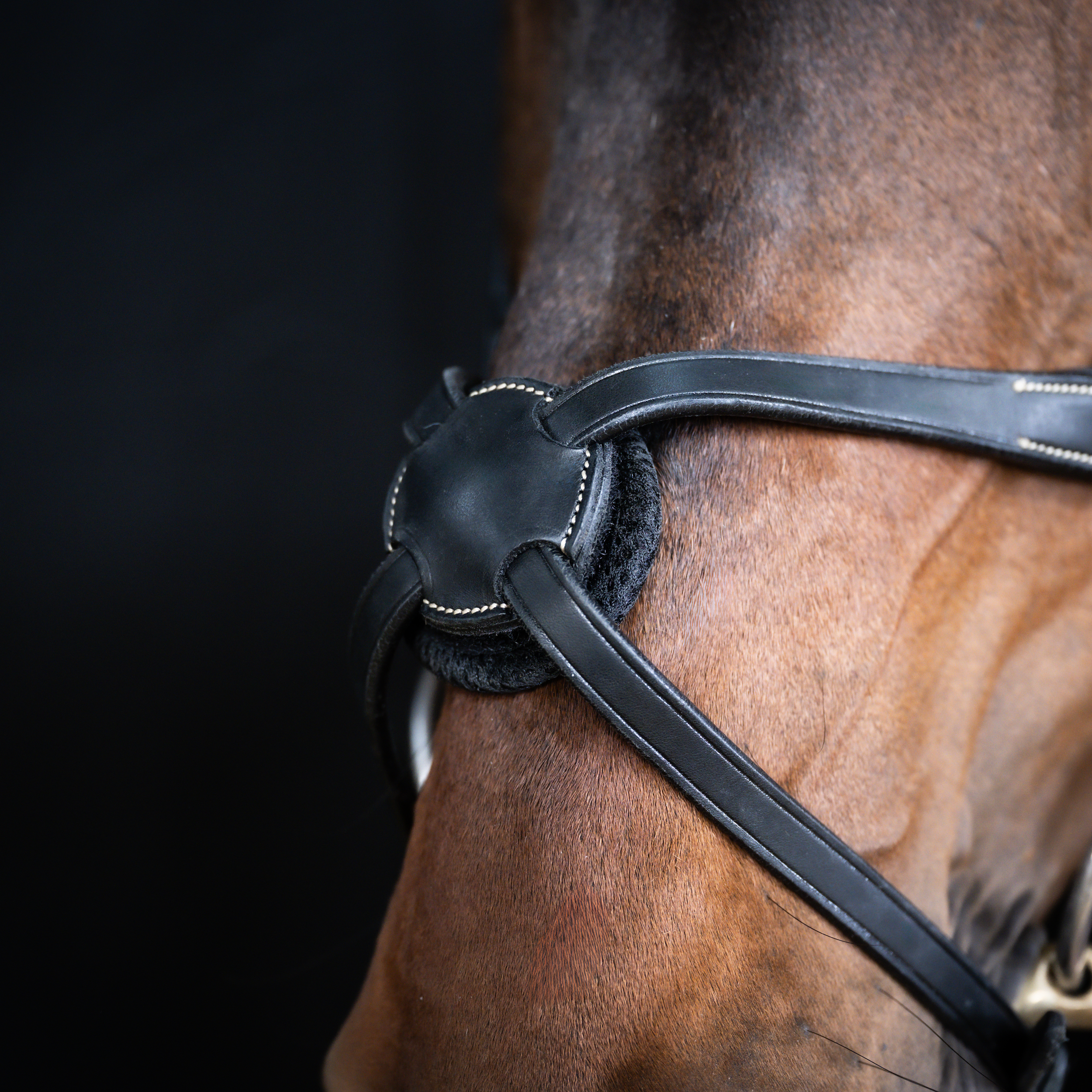 Snaffle Take-Off Line AD