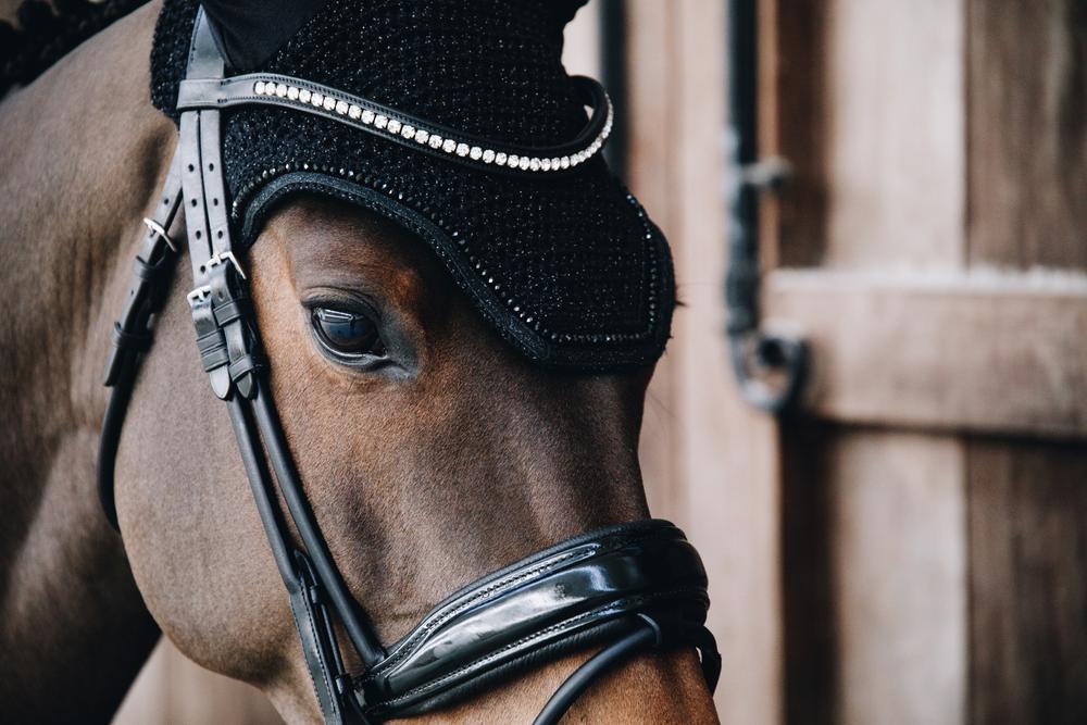 Fliegenhaube Wellington Glitter Band
