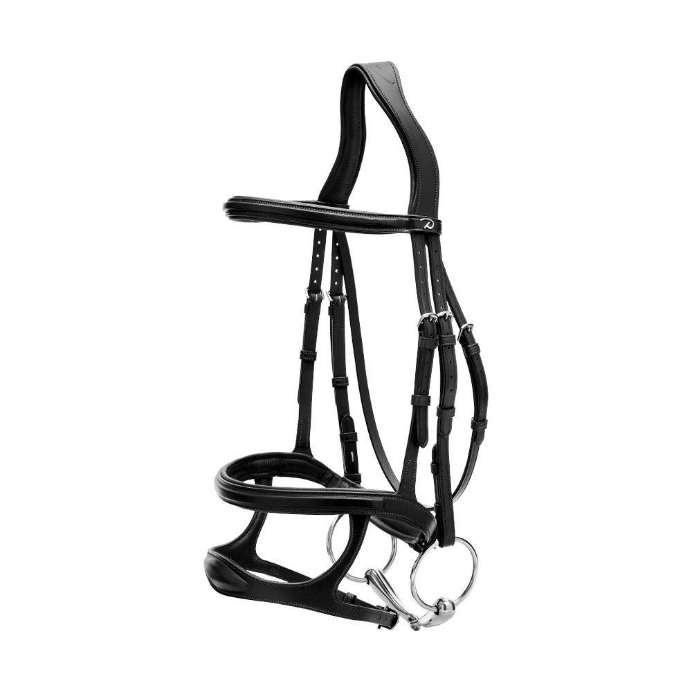 Trense mit Doppelreithalfter NE