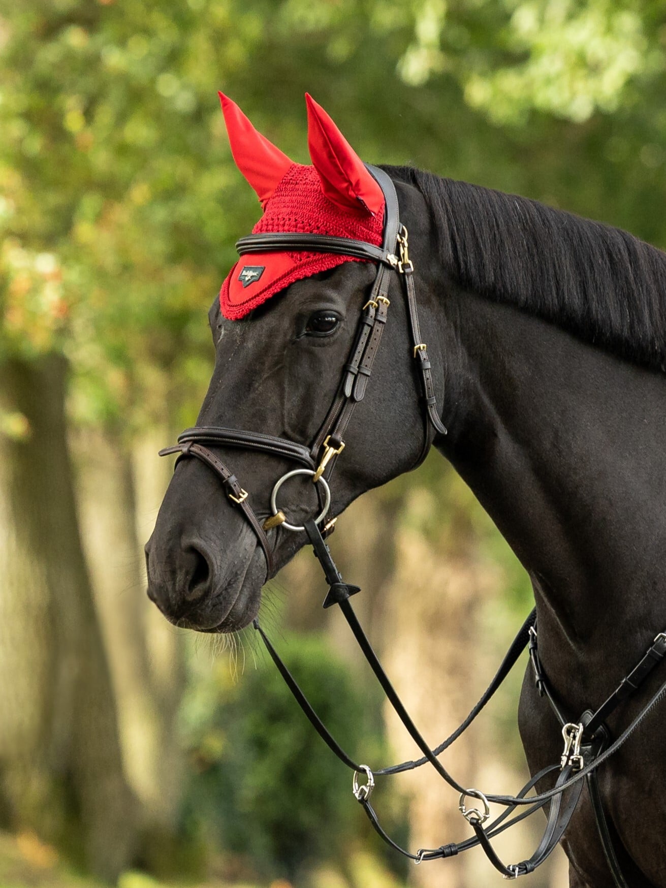 Loire Fliegenhaube