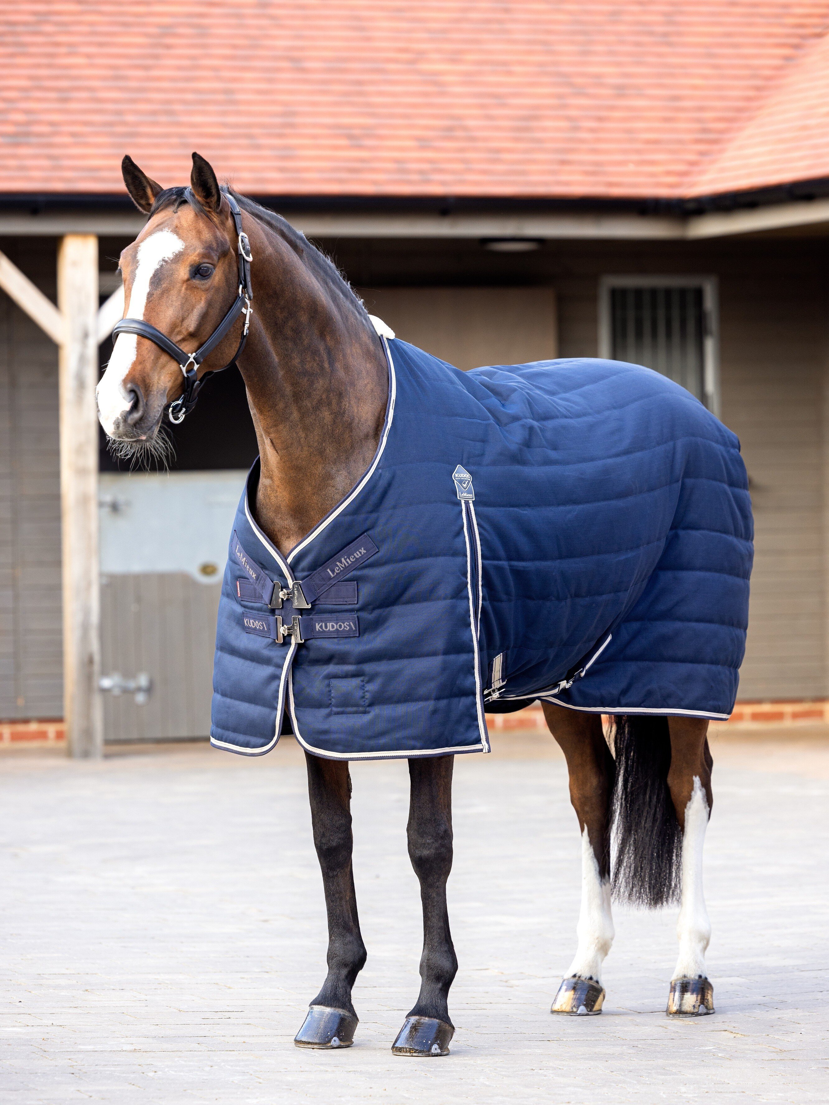 Kudos Stalldecke 100G