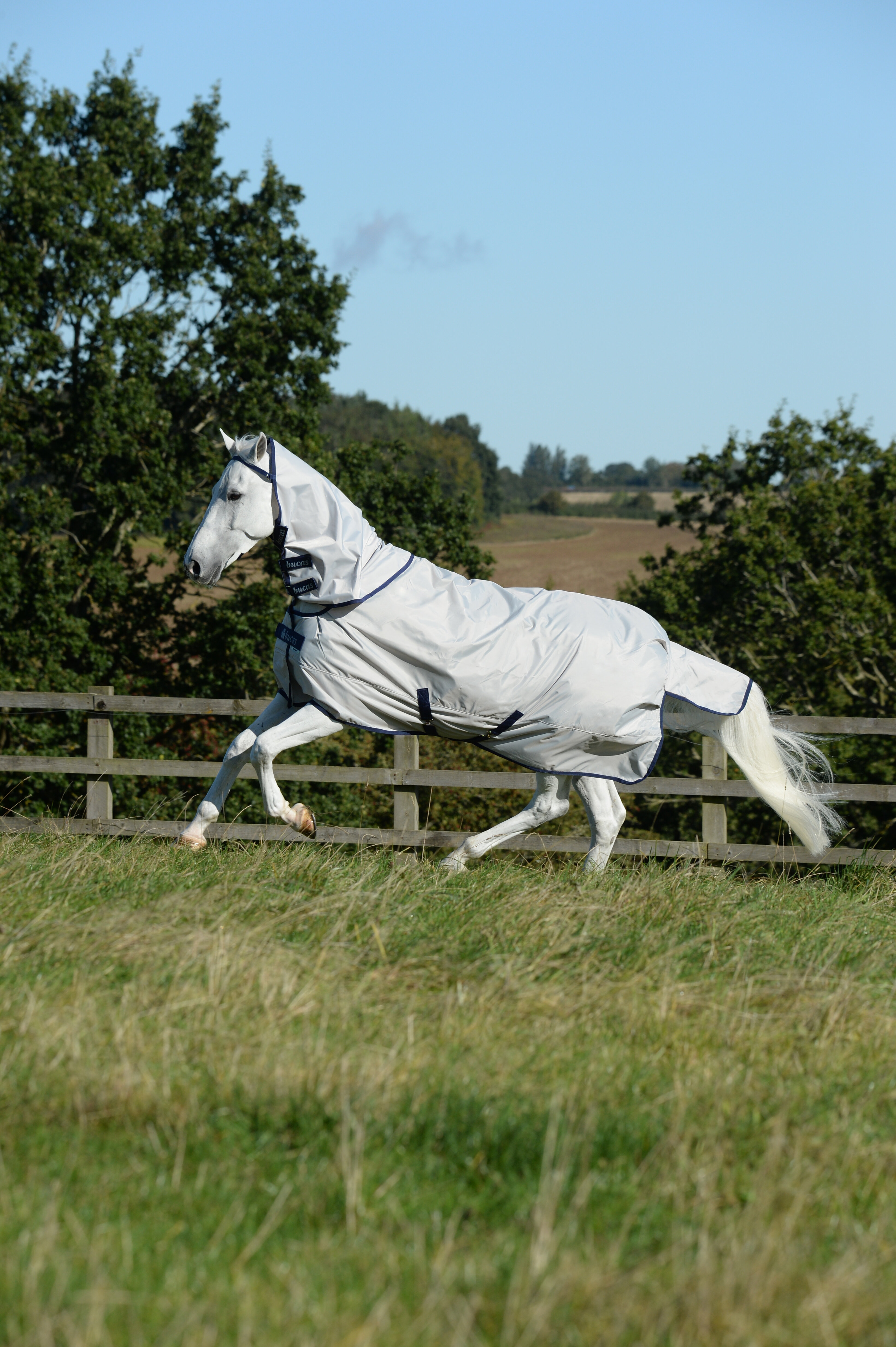 Halsteil Sun Shower in Silver