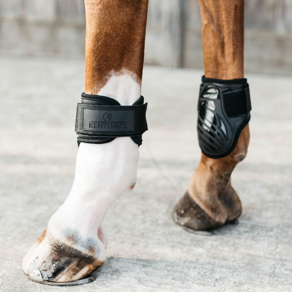 Fetlock boot Young Horse