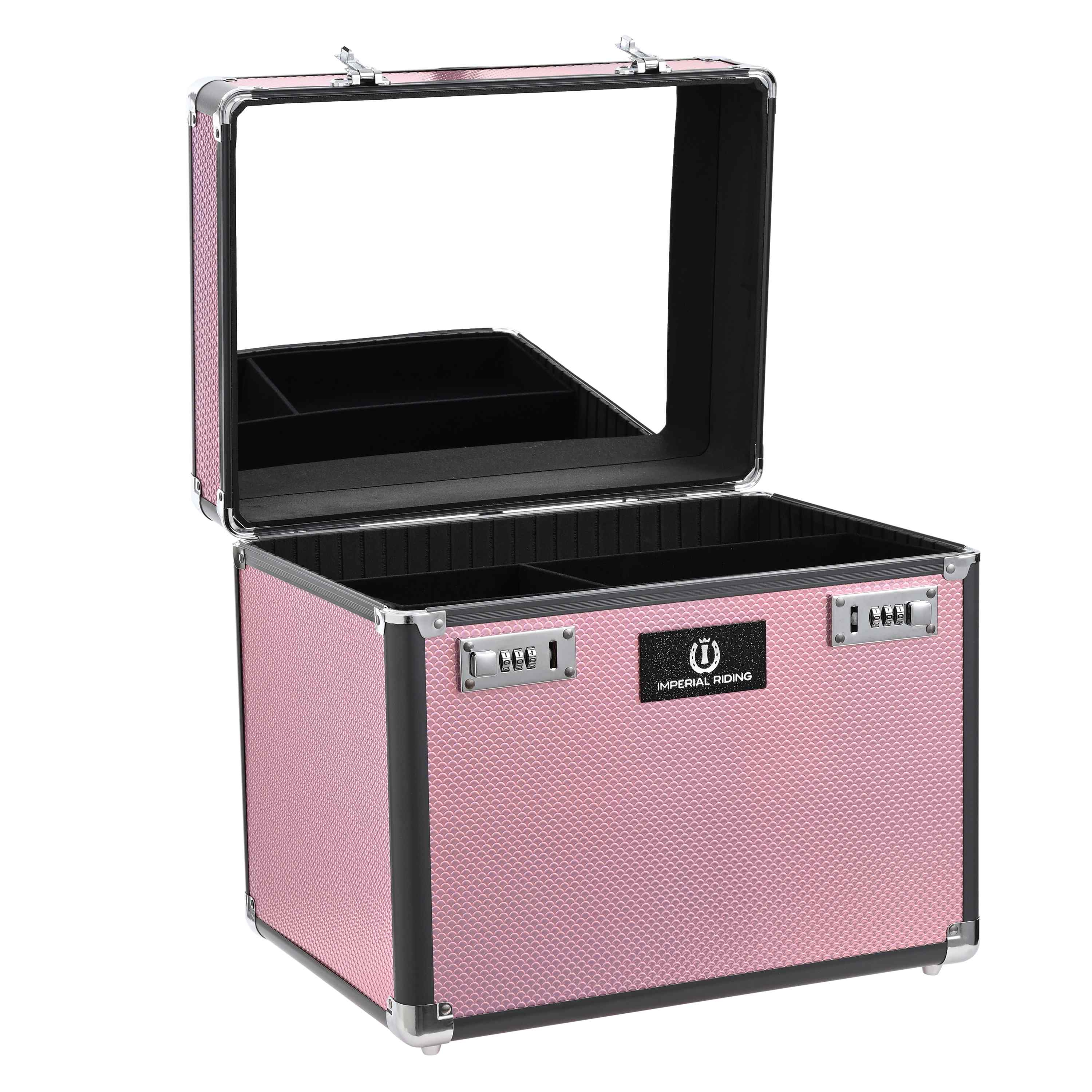Putzbox Shiny