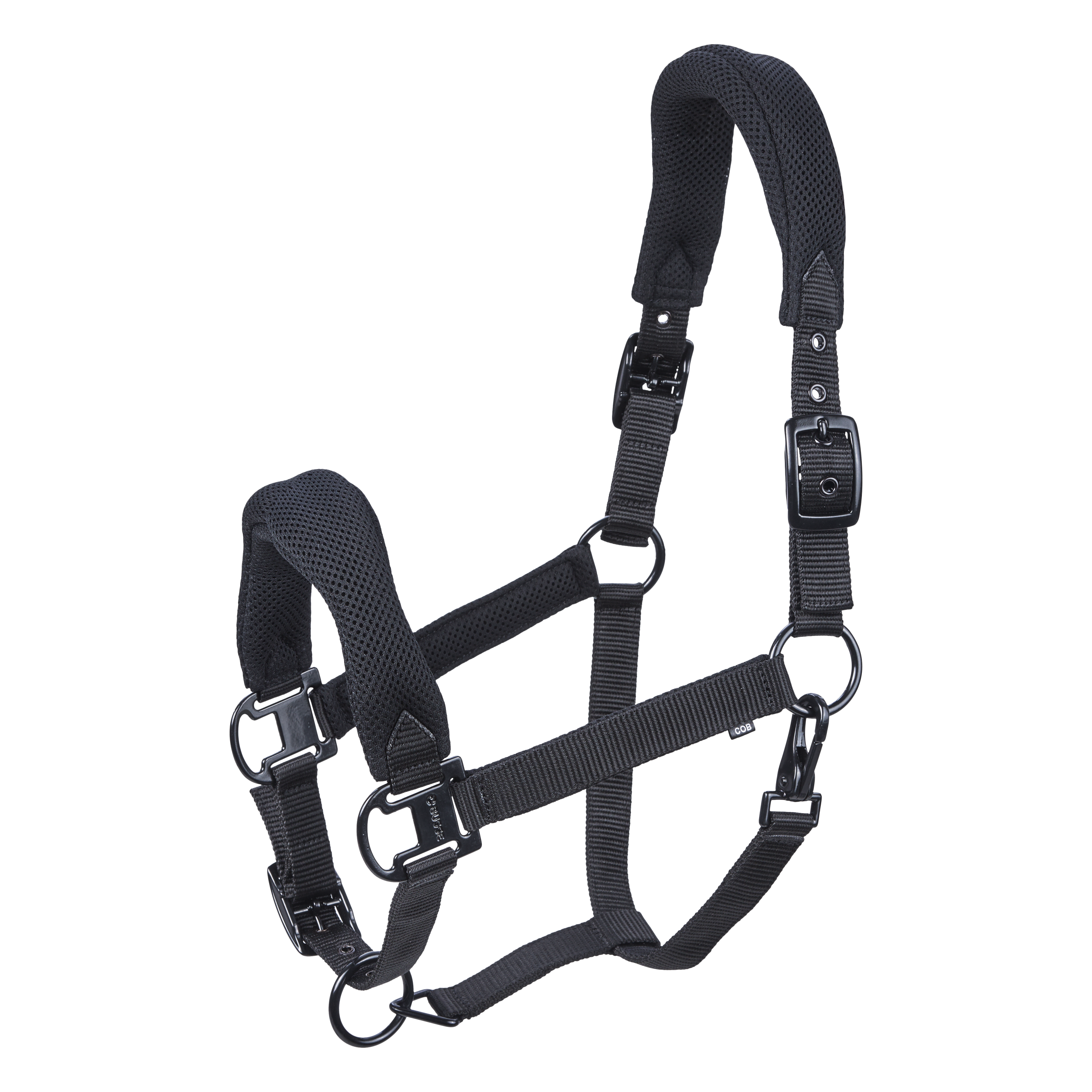 Headcollar AESTHETIC AR