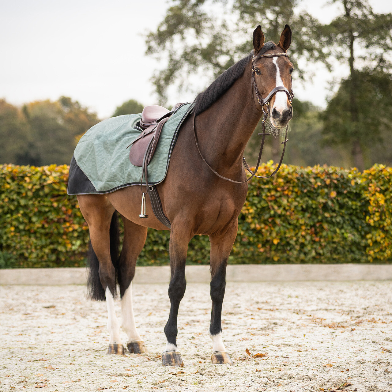 Ausreitdecke 1200D Turnout Collection Fleece
