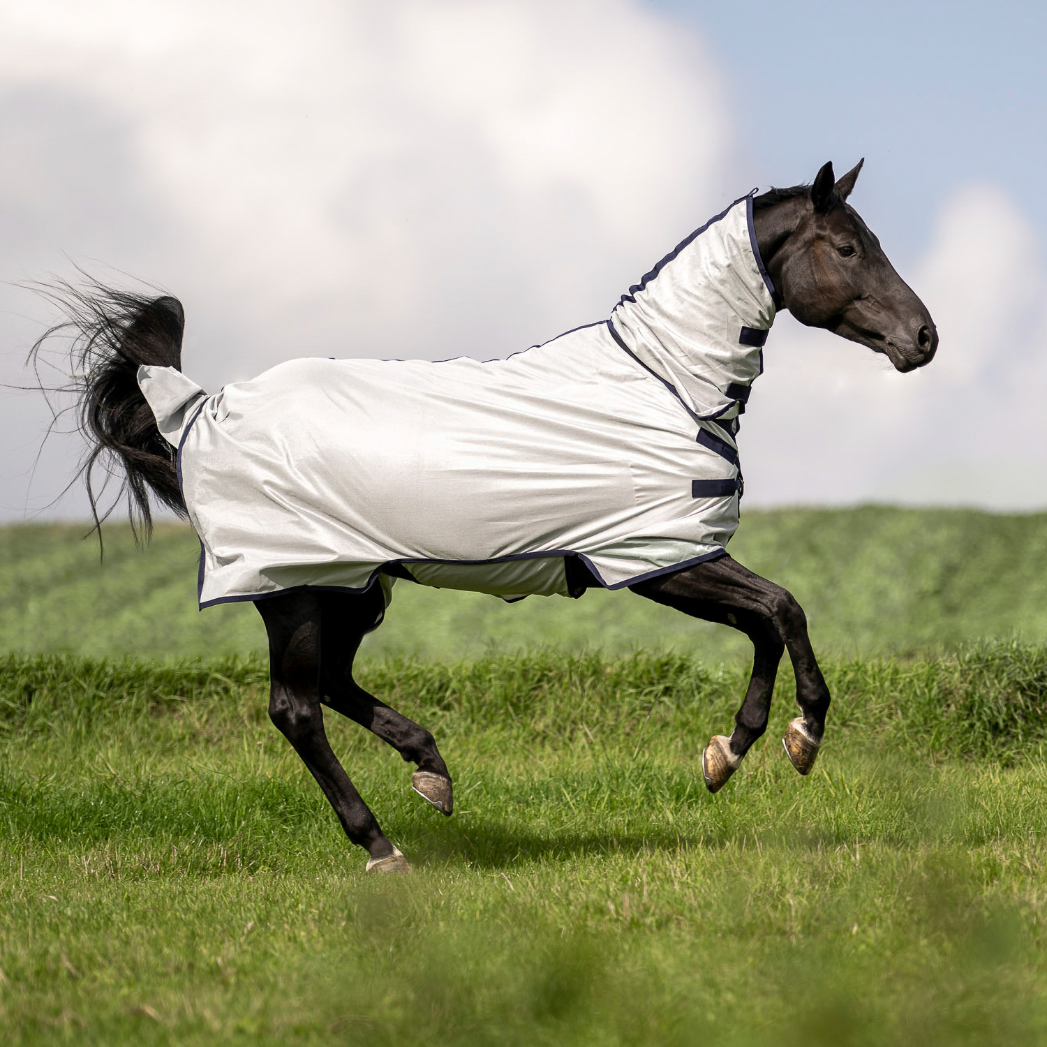 Outdoor fly rug Superb